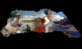 /album/arauca/arauca-png1/