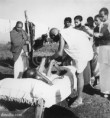/album/gandhi-sevagram-ashram/mkg-145746-jpg/